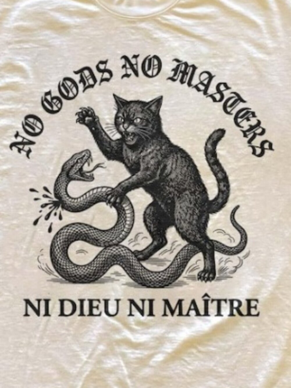 Anarchist Cat Shirt, No Gods No Masters Tee - Picture 2 of 4